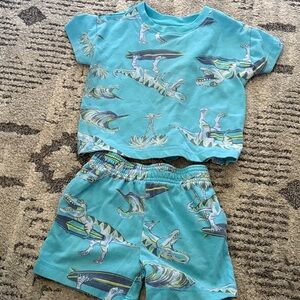 Wonder Nation Kids Dinosaur Matching Set - Blue and Green